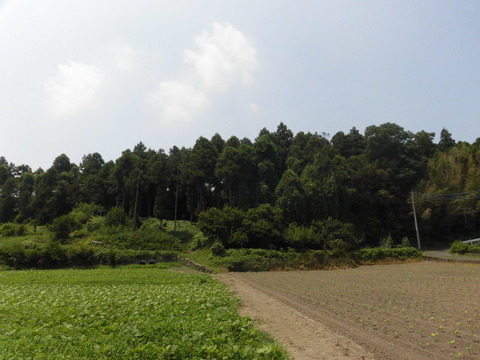 CIMG2879
