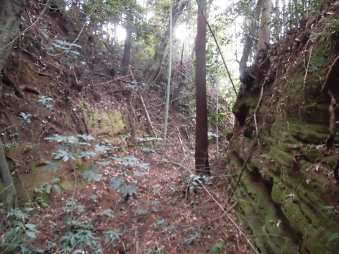 CIMG0263