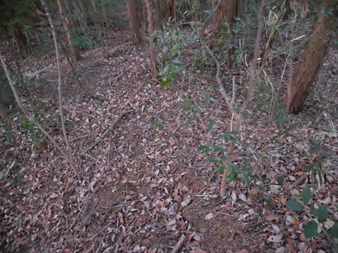 CIMG0345