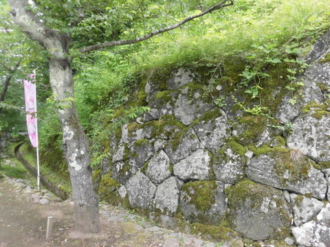 CIMG0463