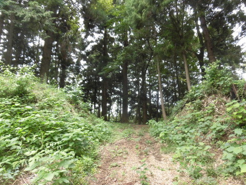 CIMG0028