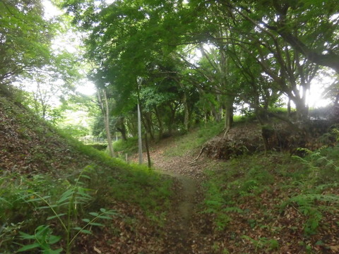 CIMG4219