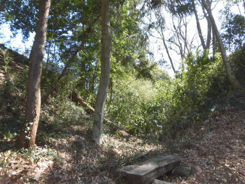 CIMG2839