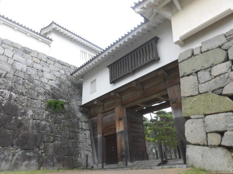 CIMG0499