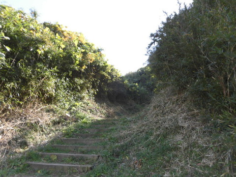 CIMG0498