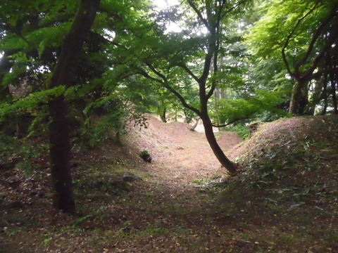 CIMG0519