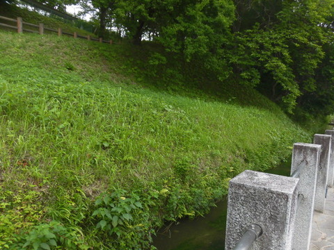 CIMG0457