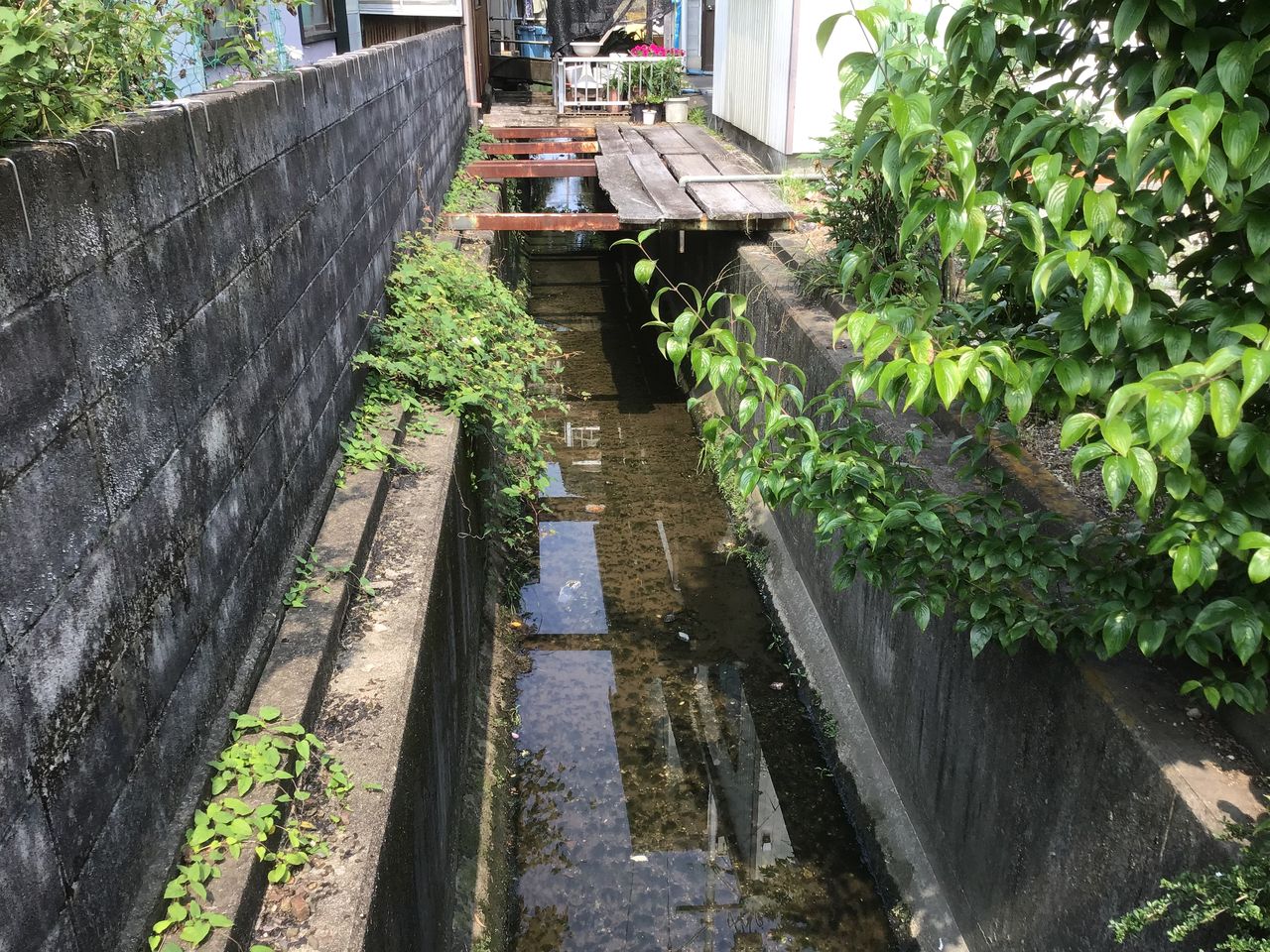 再訪 黒野城跡 マリンブルーの城攻めと食べ歩きの日記 再訪 黒野城跡 マリンブルーの城攻めと食べ歩きの日記