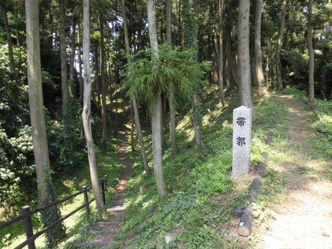 CIMG2877