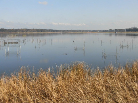CIMG0584
