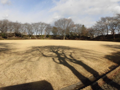 CIMG0671