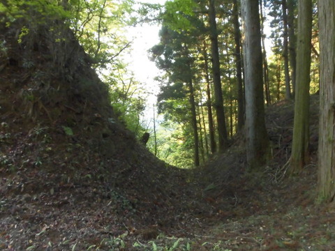 CIMG0426