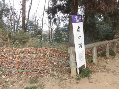 CIMG0066