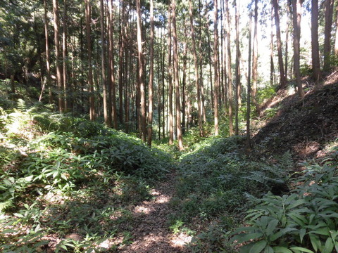 CIMG3748