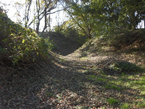 CIMG0528