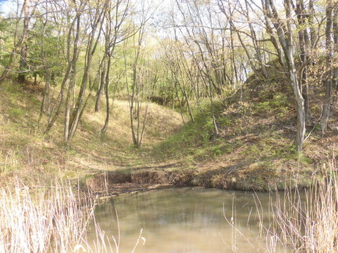 CIMG0741