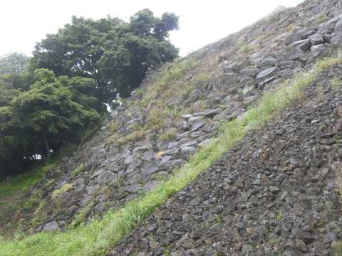 CIMG0535