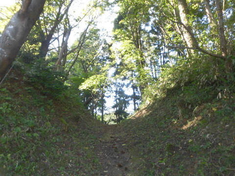 CIMG0182