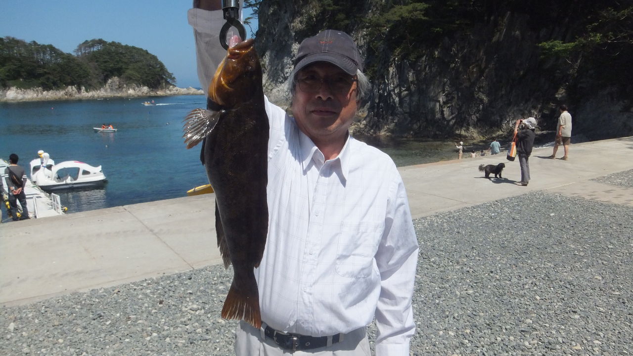 大型のアイナメが釣れました 浄土ヶ浜 釣りバカ日誌