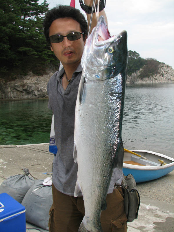 シルバーサーモンが釣れました 浄土ヶ浜 釣りバカ日誌
