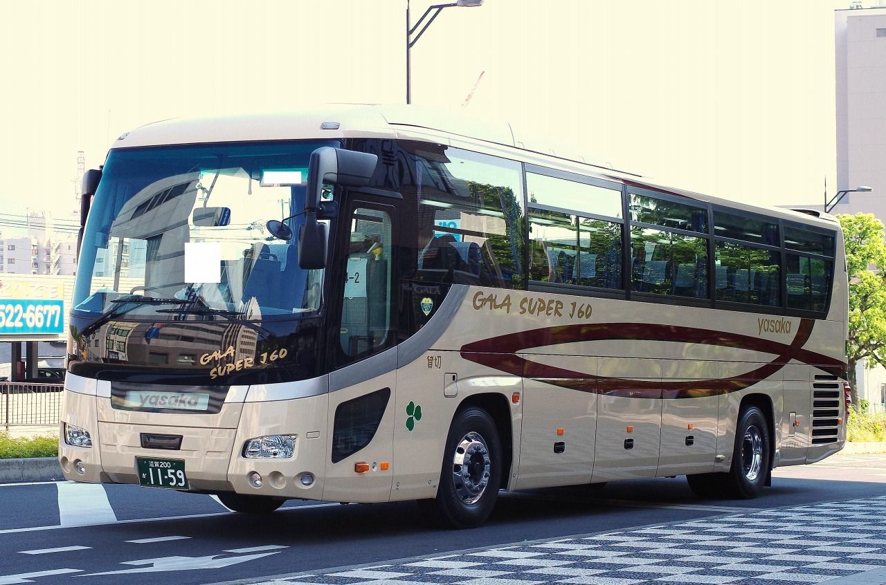 パラガス adidas Men's Irak ZX 8000 GTX (Gore-Tex). Size 10. : Amazon.ca