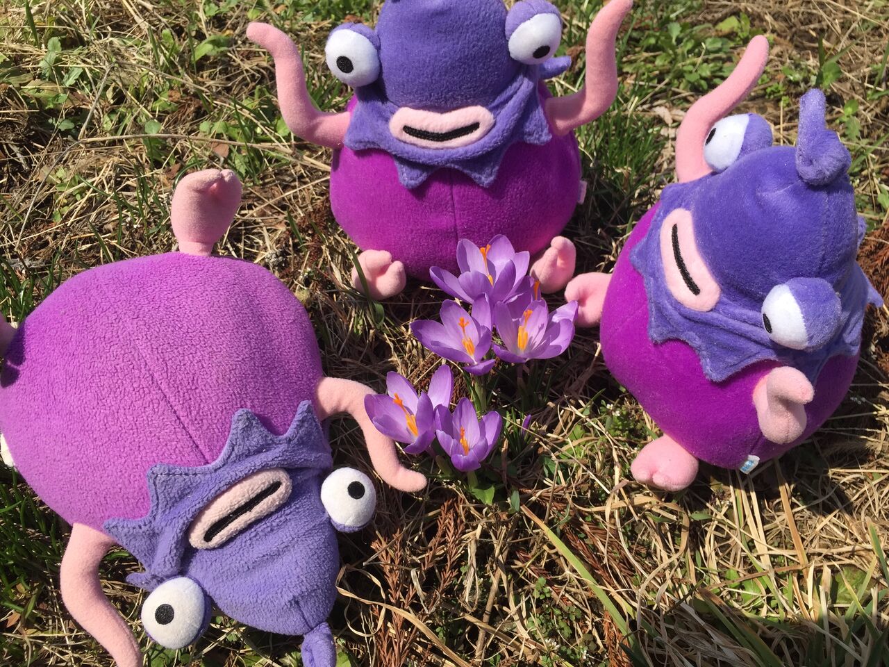 タンスにたまったコイン、処分のチャンスかも？ : ゆるゆるマリスラにっき ほとんどナスビ