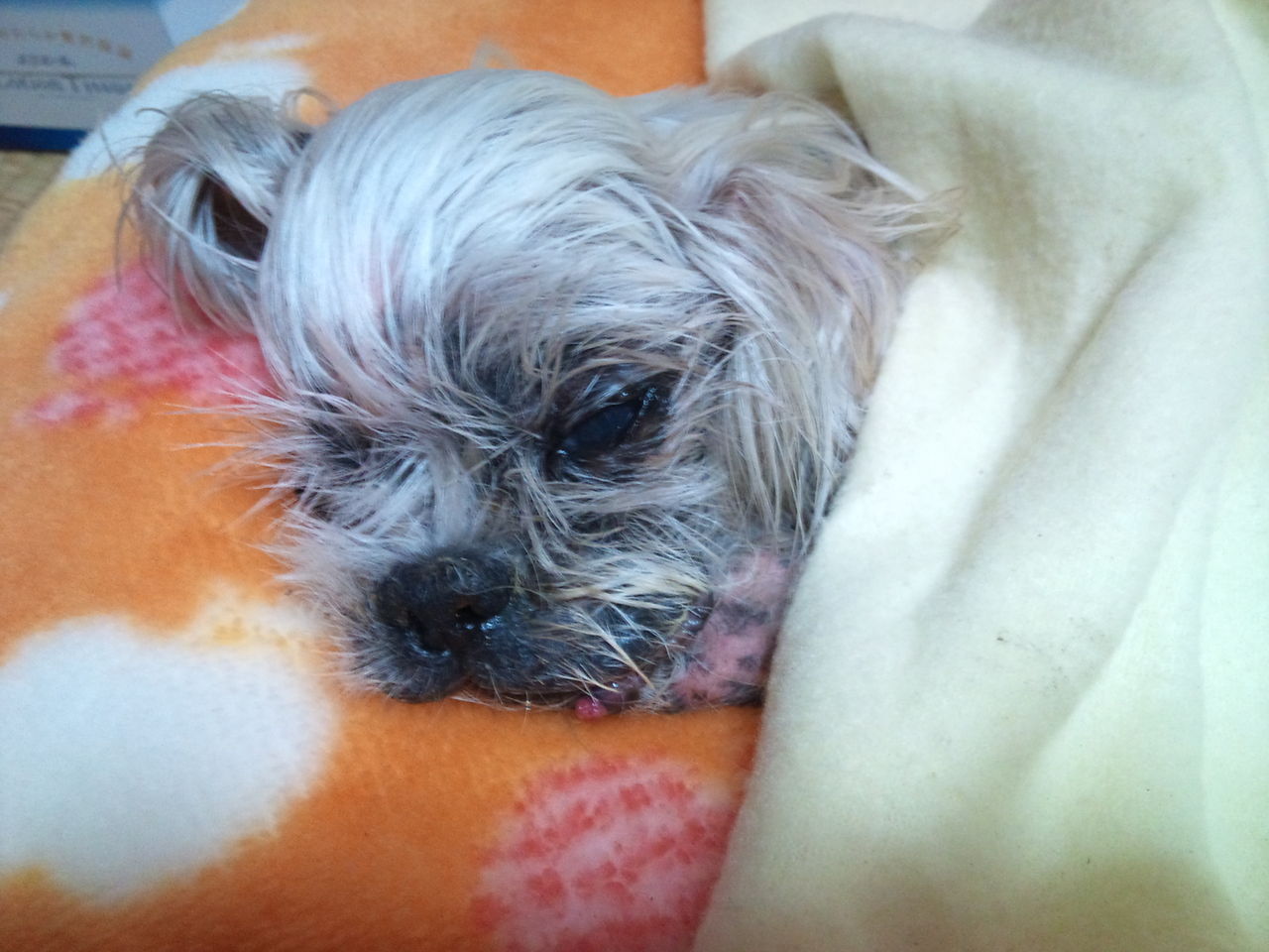 2011-11-12 21.57.34.jpg