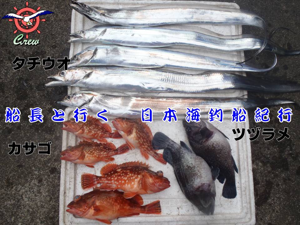 11年07月18日 糸魚川 海の宿 ペンション クルー 若旦那の日記 糸魚川 宿泊 釣り船 海水浴 ﾎﾀﾙｲｶ ｼｭﾉｰｹﾙ ﾌﾞﾛｸﾞ Pension Crew