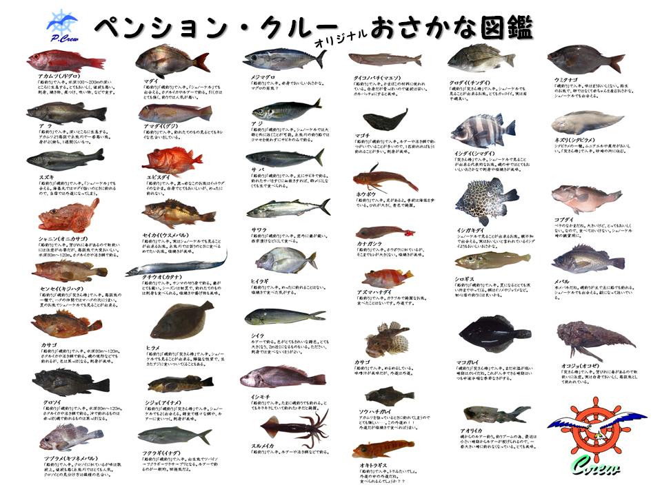 50 海 釣り 魚 図鑑 すべての魚の画像