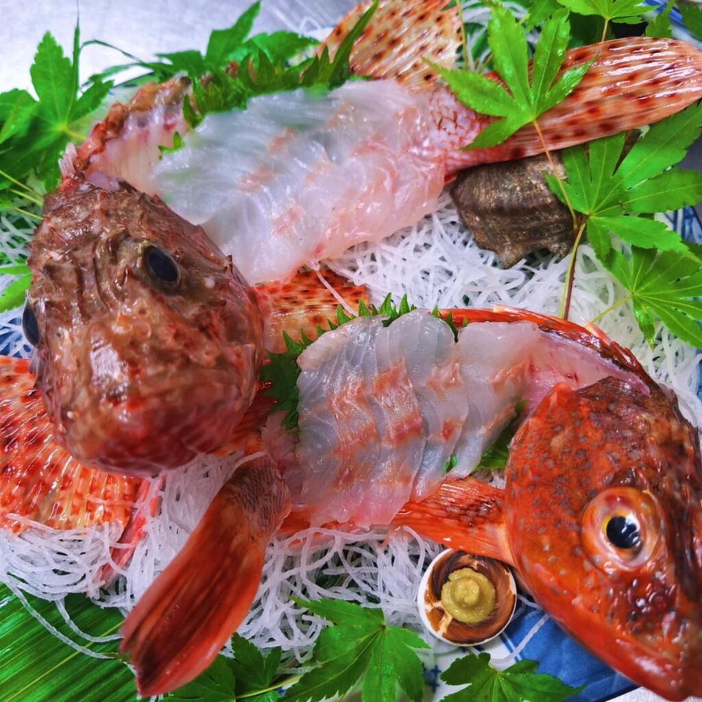 2025.6·î¤ÎͽÌó-04