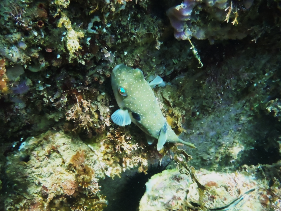 2024-Pcrew_Ocean (3)