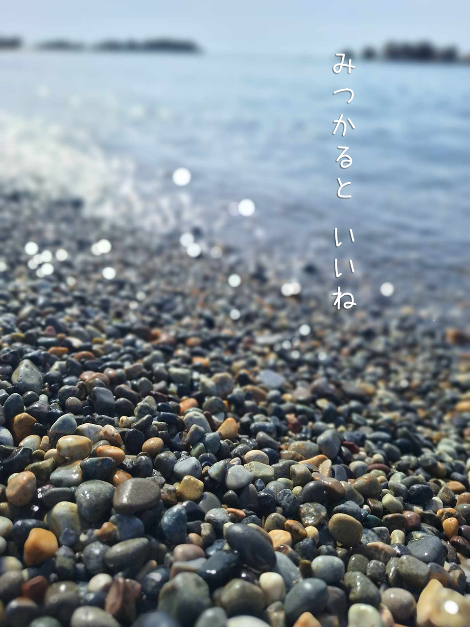 2024_iiishi_plan-01