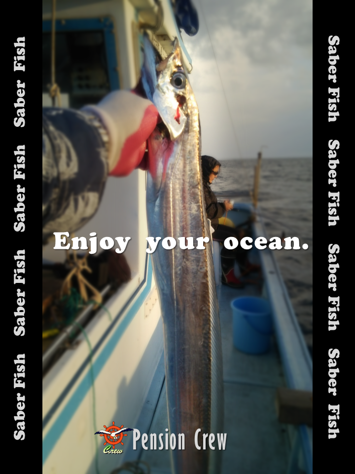 14 09 16 ９月の釣り船 Vol 1 太刀魚 ﾀﾁｳｵ 糸魚川 海の宿 ペンション クルー 若旦那の日記 糸魚川 宿泊 釣り船 海水浴 ﾎﾀﾙｲｶ ｼｭﾉｰｹﾙ ﾌﾞﾛｸﾞ Pension Crew