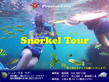 (��)2024-Snorkel_Tour