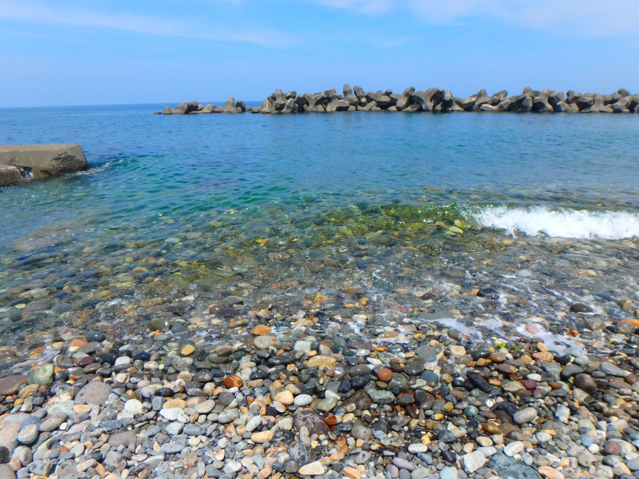 18 08 01 夏のお魚 キジハタ シュノーケル体験 糸魚川 海の宿 ペンション クルー 若旦那の日記 糸魚川 宿泊 釣り船 海水浴 ﾎﾀﾙｲｶ ｼｭﾉｰｹﾙ ﾌﾞﾛｸﾞ Pension Crew