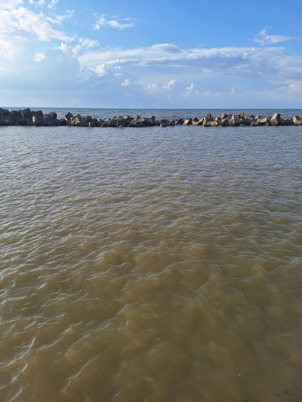 e3437781-4228-4285-a45f-51f3561652f5