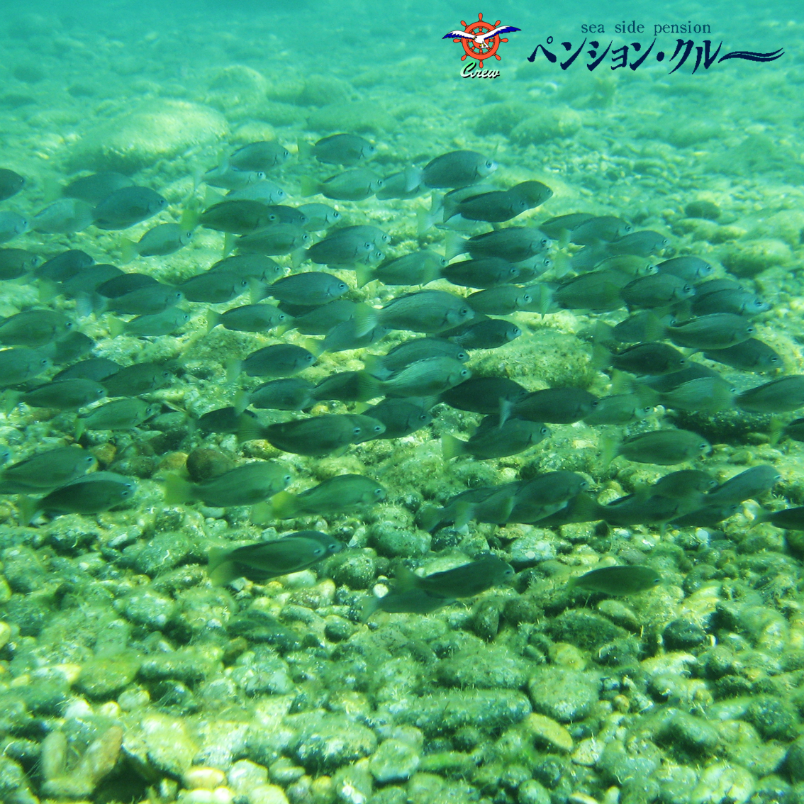 2025³¤¤ÇÍ·¤Ö²Æ-03