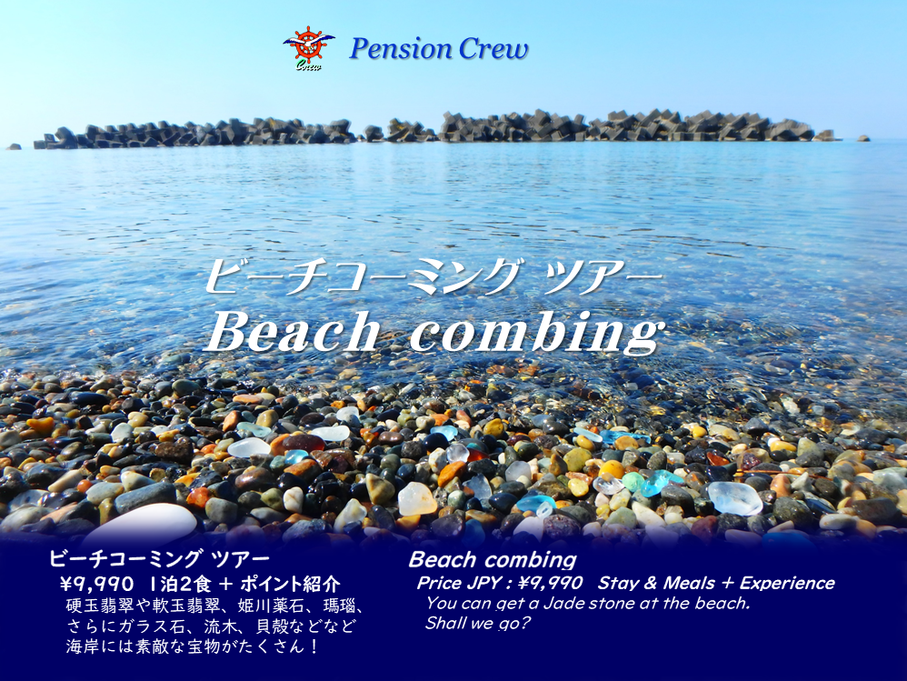 [��]2019-beach_combing