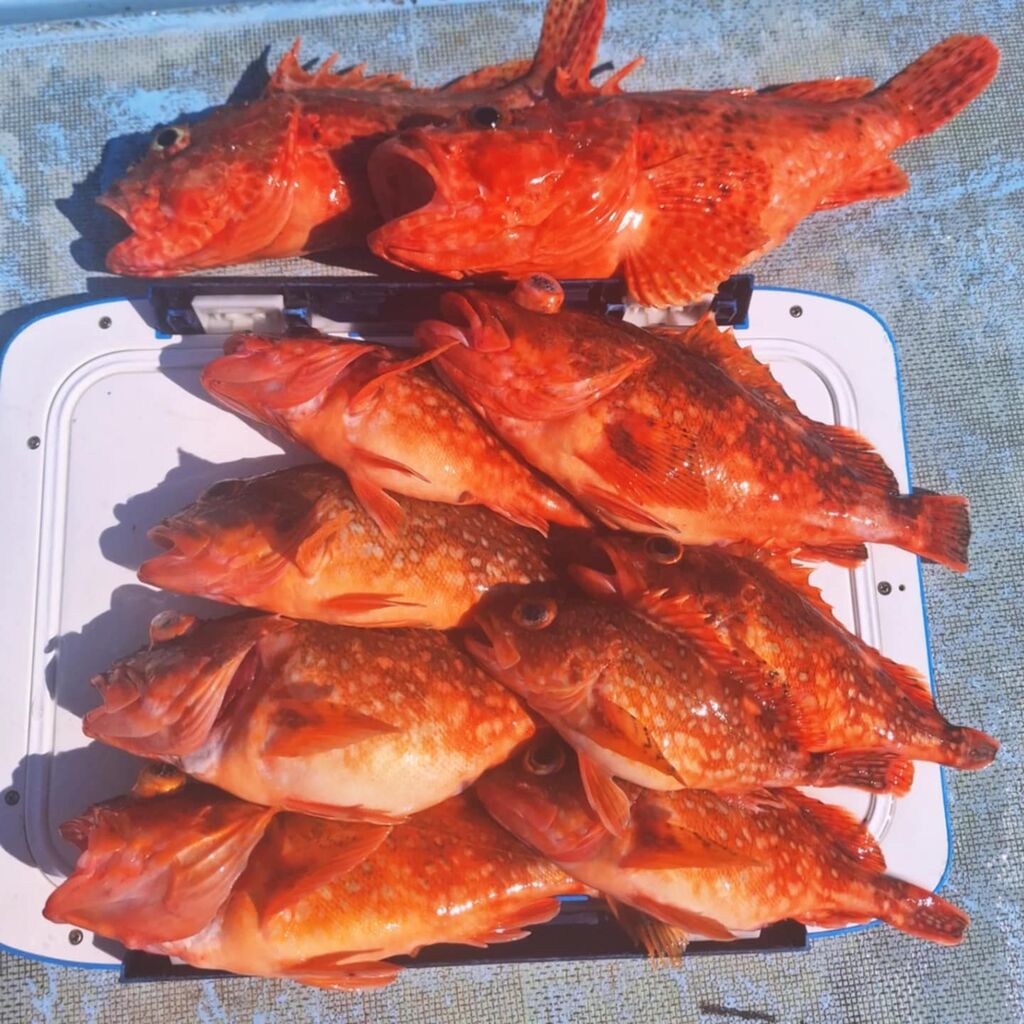 2025.6·î¤ÎͽÌó-02