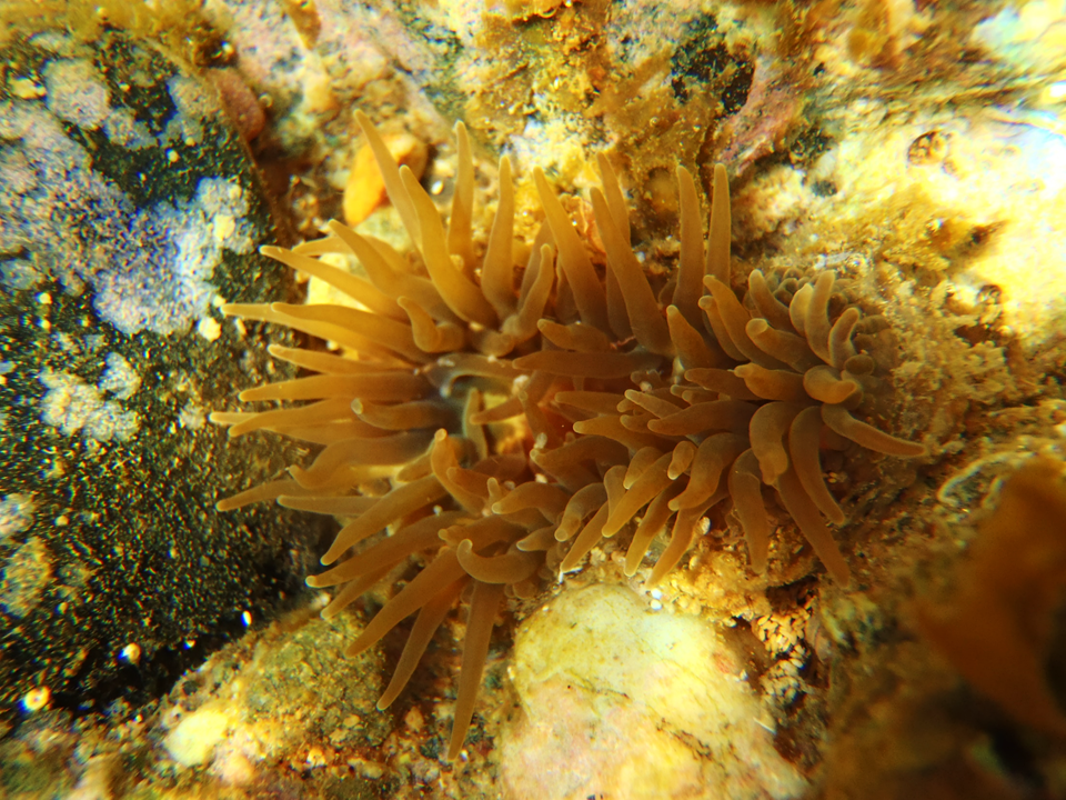 2024-Pcrew_Ocean (6)