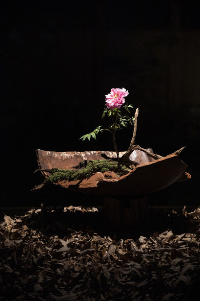 壺中の花