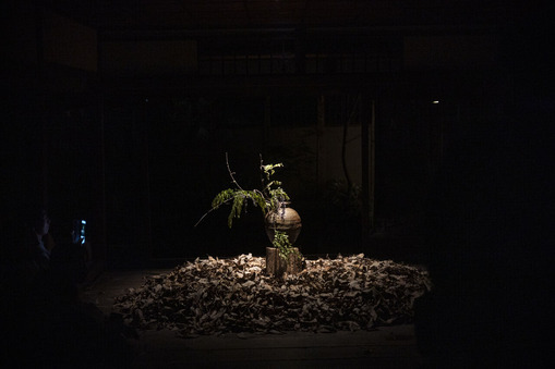 壺中の花