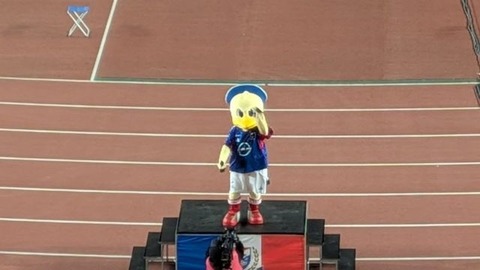 8809465_2598173576_238large