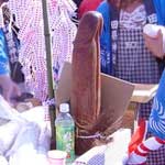 reports-tagata-omiki