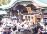 reports-tagata-honden