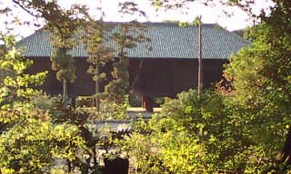 8820d682.jpg