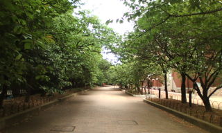 9575686d.jpg