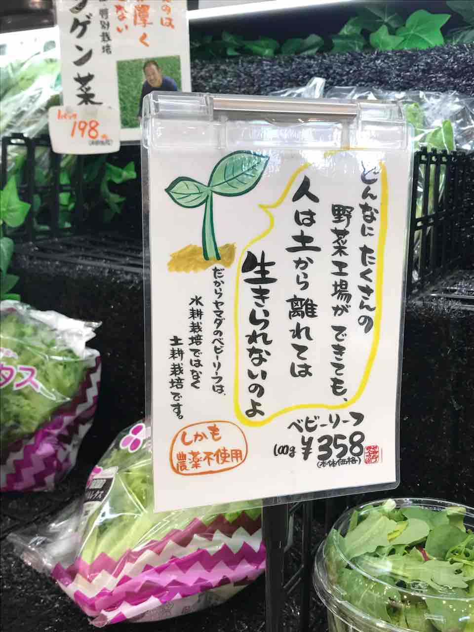 人は土から離れては生きられないのよ 海のそばに暮らす田舎のおばちゃんの暮らしぶり