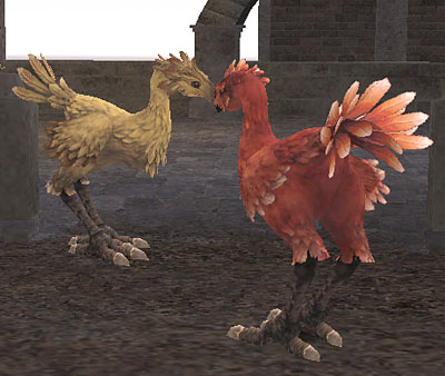 うちのこもオトナになったなぁ〜