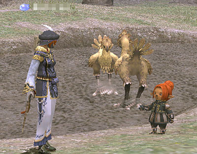 プルノノさんと。